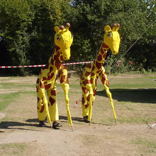Anreiseverkleidung Giraffen 2007